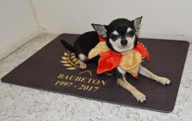 Hund Bau Beton GmbH